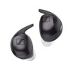 MOMENTUM Sport
